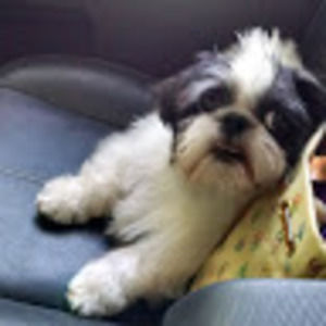 Meet your Posher, Linda